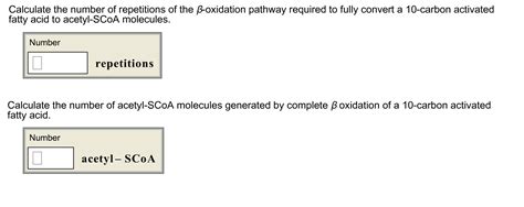 beta oxidation pathway|Solved Calculate the number of repetitions of the beta .